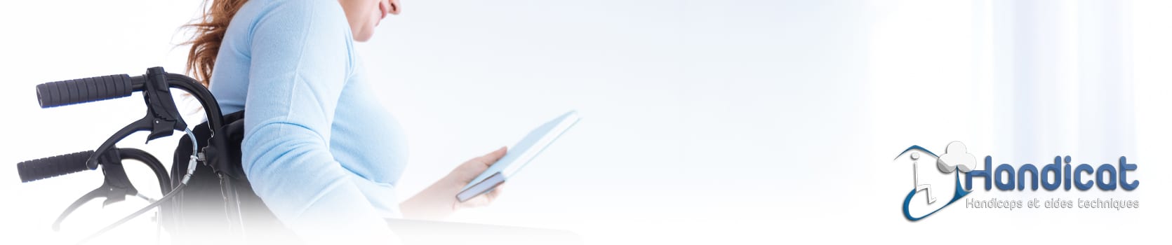 Bandeau page d'accueil hacavie.fr