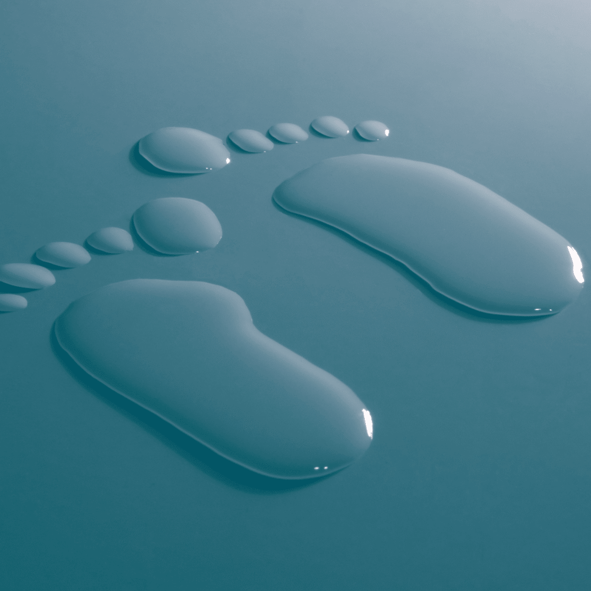 2 L’empreinte hydrique newsletter