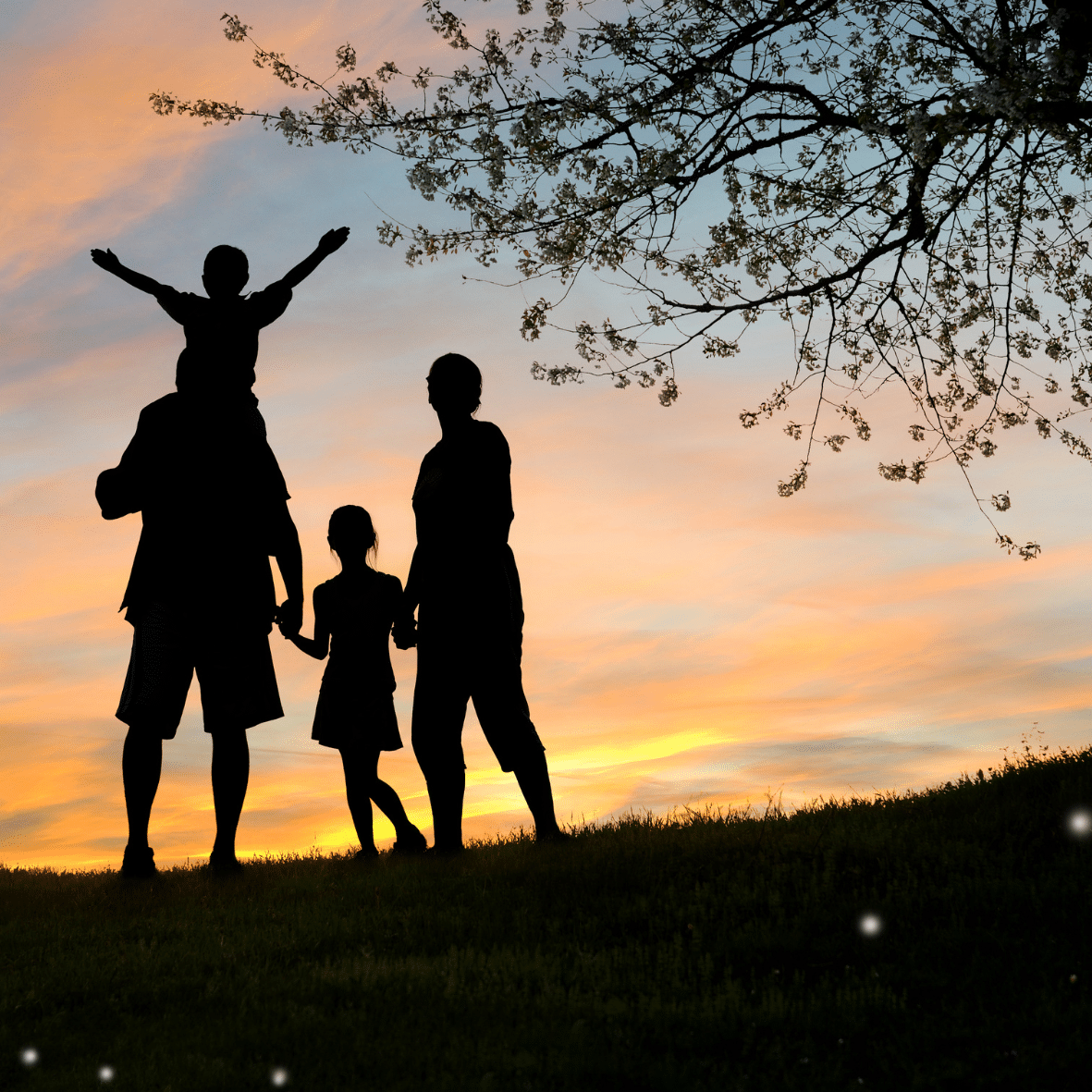 3 Cliniques mère-enfant du Sénégal